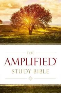 Holy Bible - The Amplified Study Bible