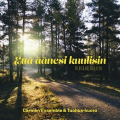 CD Että äänesi kuulisin - Rukouslauluja
