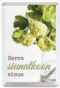 Magneetti Herra siunatkoon sinua