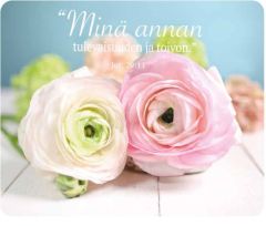 Hiirimatto Jaloleinikit - Minä annan tulevaisuuden ja toivon,  Jer. 29:11