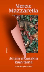 Jotain muutakin kuin tämä - Pohdintoja uskosta