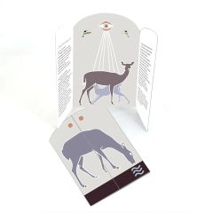 Joulukortti Jouluevankeliumi 2023 (Osmo Rauhala) - 1992-käännös