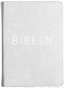 Bibeln - konfirmandbibeln, silver