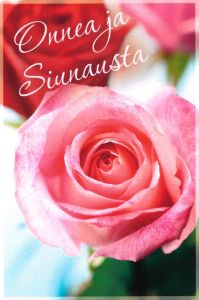 Onnea ja Siunausta - onnittelukortti 10 kpl paketti