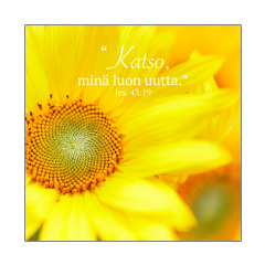 Magneetti Auringonkukka - Katso, minä luon uutta