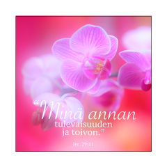 Magneetti Orkidea - Minä annan tulevaisuuden ja toivon
