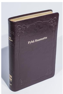 33/38 Isotekstinen Raamattu viininpunainen reunahakemisto kultasyrjä R45