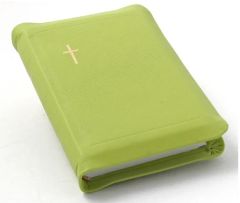 Nahkakantinen keskikokoinen Raamattu lime, reunahakemisto, kultasyrjä, vetoketju