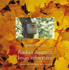 Ruskan loistosta kevään vihreyteen