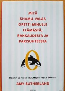 Mitä Shamu-valas opetti minulle elämästä, rakkaudesta ja parisuhteesta