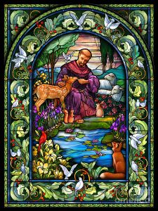 Palapeli Franciscus - 1000 palaa