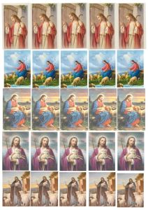 Tarra Hyvä Paimen leikattava