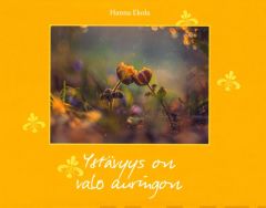 Ystävyys on valo auringon