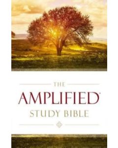 Holy Bible - The Amplified Study Bible