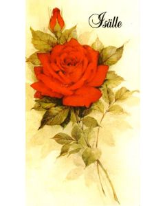 Isänpäiväkortti Punainen ruusu, 2-os. + kuori