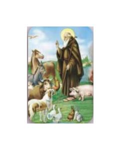 Magneetti neliö Franciscus & eläimet