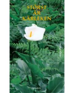 Störst är kärleken