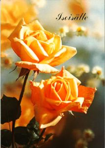 Isänpäiväkortti Isoisälle oranssi ruusu, 2-os. + kuori
