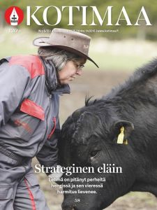 Kotimaa 3 kk määräaikainen
