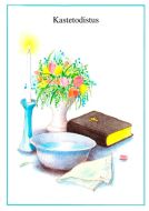 Kastetodistus (Louhi) 20 kpl