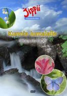 DVD Jippii: Kunnia Jumalalle - Glory to God