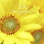 Magneetti Auringonkukka - Katso, minä luon uutta