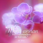 Magneetti Orkidea - Minä annan tulevaisuuden ja toivon